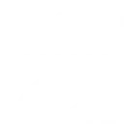 Optimización WPO